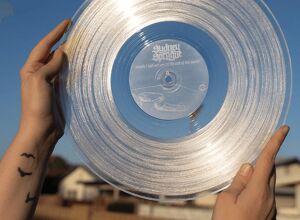 Albis: Schallplatten aus recycelten PET-Abfällen