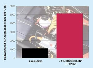 Brüggemann: Längere Lebensdauer bei hohen Temperaturen