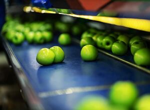 Gummiwerk Kraiburg: Mischungen für den Lebensmittelbereich