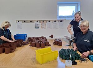 Autenrieth/3P: Filter machen Regenwasser nutzbar