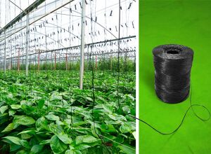 BASF: Industriell kompostierbares Biopolymer