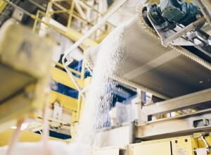 BASF: Glasfasern mit reduziertem PCF