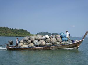 WIS Kunststoffe: Rezyklatportfolio erweitert