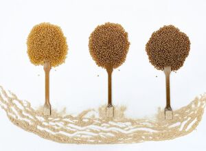 Bio-Fed: Neue Compounds auf Biobasis