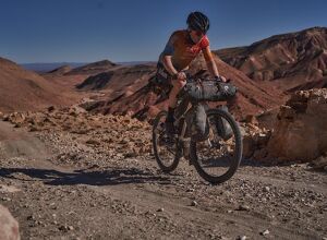 Lehmann&Voss&Co.: Standards mit mehr als Standard