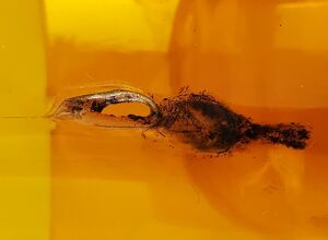 SKZ: Richtige Entlüftung