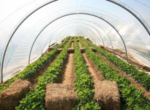 Hoffmann Mineral: Premiere auf der Fakuma