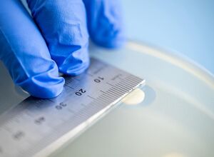 TITK: Neues Verfahren für anti-thrombotische Katheter