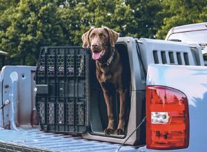 Tramaco: Schäumen großformatiger Teile im Spritzgießverfahren