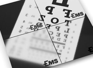 Ems-Chemie: Drei mit besonderen Eigenschaften