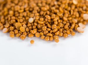 Biesterfeld: Wachsendes Wachs-Portfolio