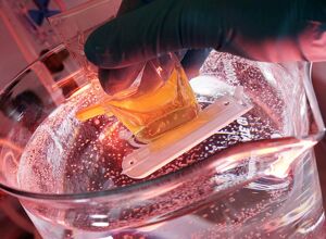 Uni Jena: Mit KI für besseres Recycling