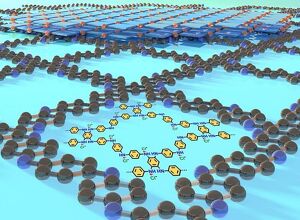 TU Dresden: Polymer leitfähig wie Metall