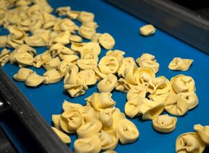 Gummiwerk Kraiburg: Maßgeschneidert für die Cucina italiana