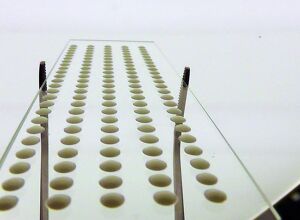 Perfecdos: Neue Optionen für Naturkautschuk