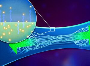 MPI-P: Dehnbare Elektronik