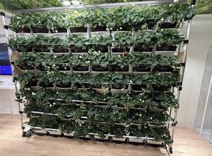 SK Industriemodell: Von der Idee zur Erdbeerwand