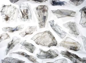 Tomra: Herausforderung Tray-to-Tray-Recycling