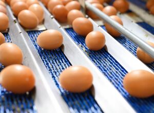 BASF: PBT für Food-Contact neu aufgestellt