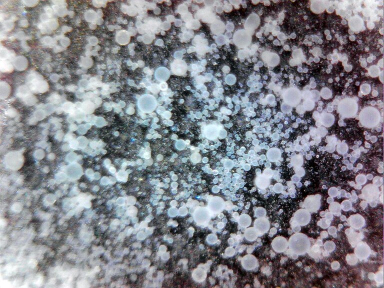 Unter dem Mikroskop ist die sphärische Partikelform und kleine Partikelgröße sichtbar. (Foto: Advanc3D Materials)