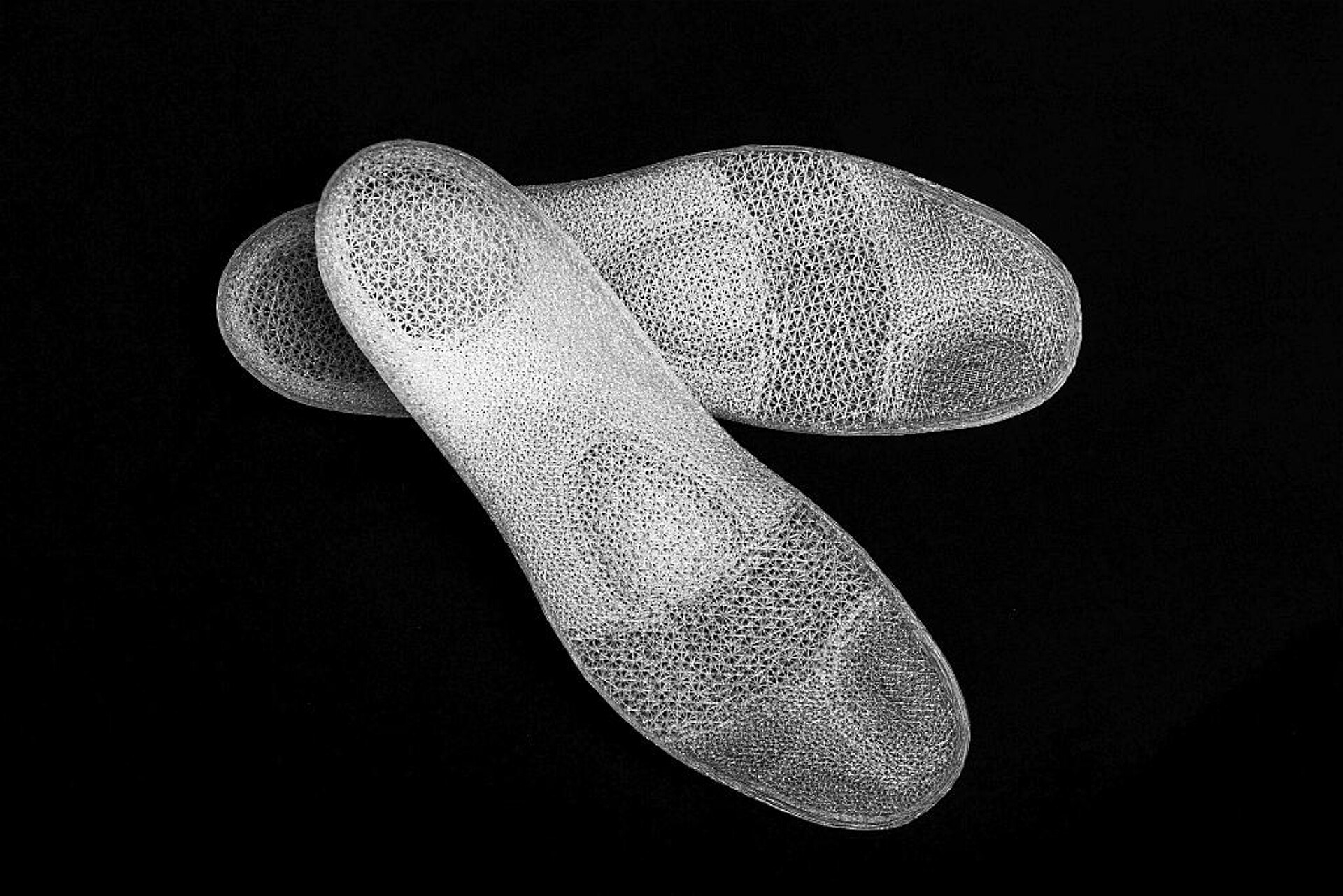 Für die Herstellung individueller Schuheinlagen mittels 3D-Druckverfahren kommt TPU-Filamente zum Einsatz. (Foto: BASF)