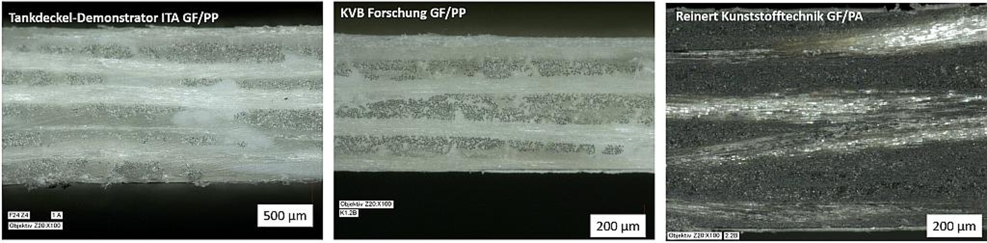Schliffbilder einzelner Proben aus GF-PP und GF-PA (rechts) mit einer Auflösung von 200 μm. Solche Schnitte durch die konsolidierte Platte zeigen Lufteinschlüsse, Poren und andere Fehlstellen. (Foto: Gustav Gerster)