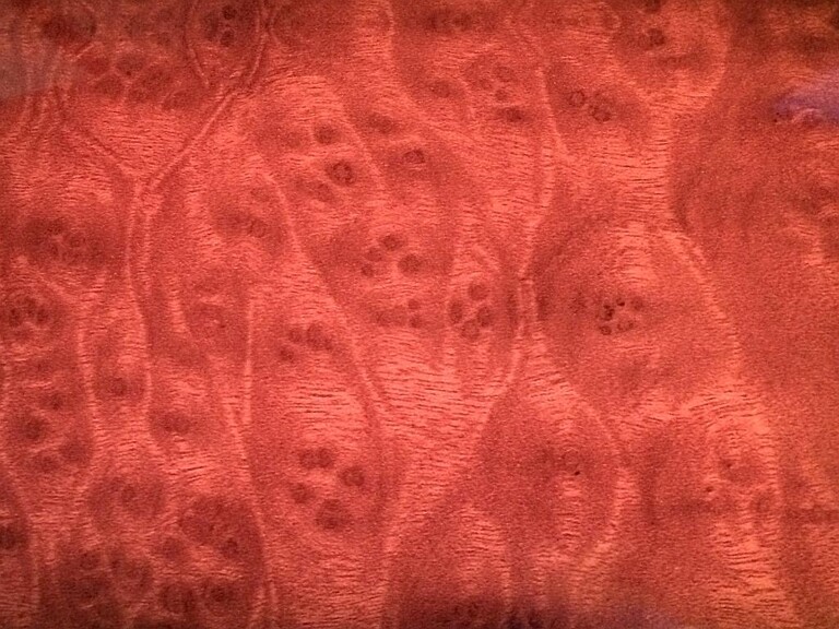 Holzdesign – Effekt bei Durchleuchtung. (Foto: Kurz)