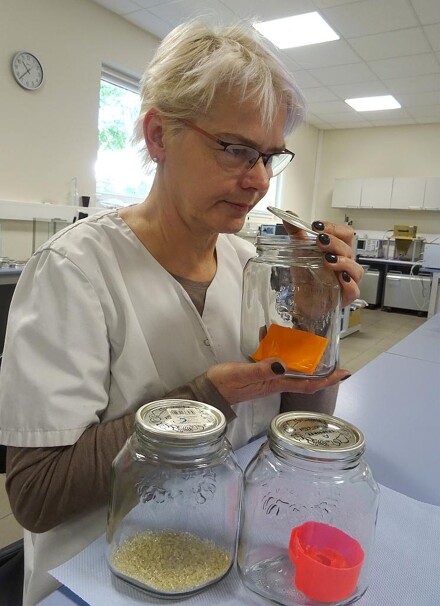 Laborantin Sigrun Bayer ist eine von mehr als zehn Geruchsprüfern beim TITK-Tochterunternehmen OMPG in Rudolstadt. (Foto: TITK)