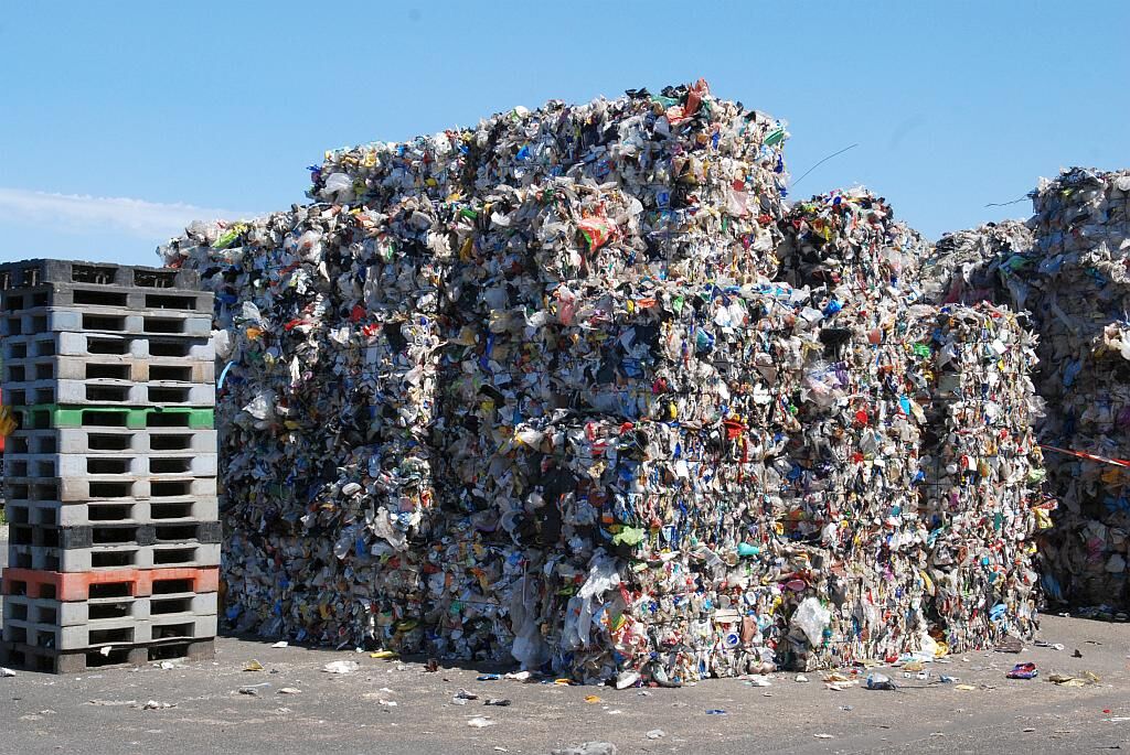 Nach der Verpressung: Ballenprodukte fertig zur Abholung. (Foto: Steinert)