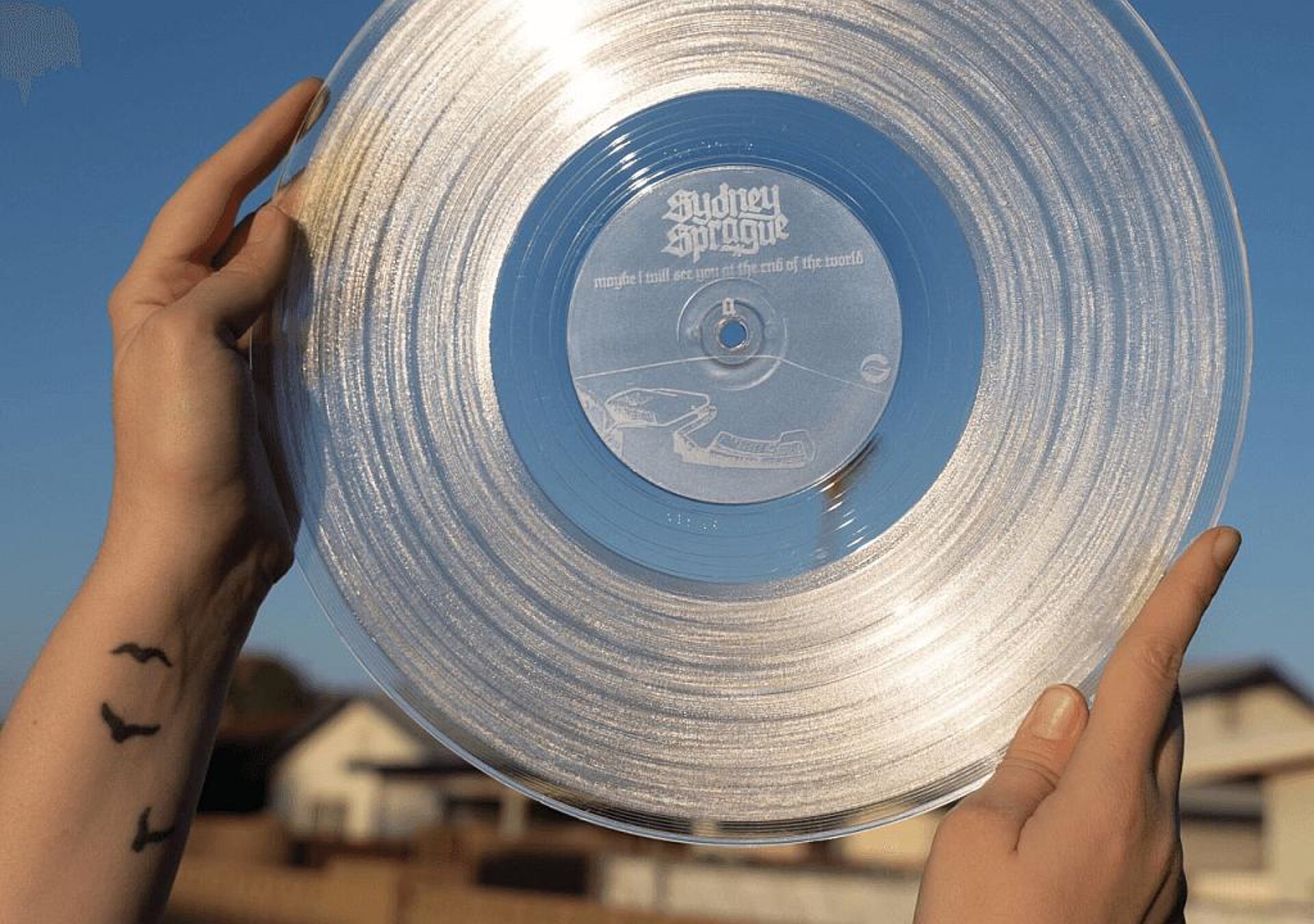 Greenyl-Schallplatte aus dem PET Skypet CR. (Foto: Sydney Sprague)