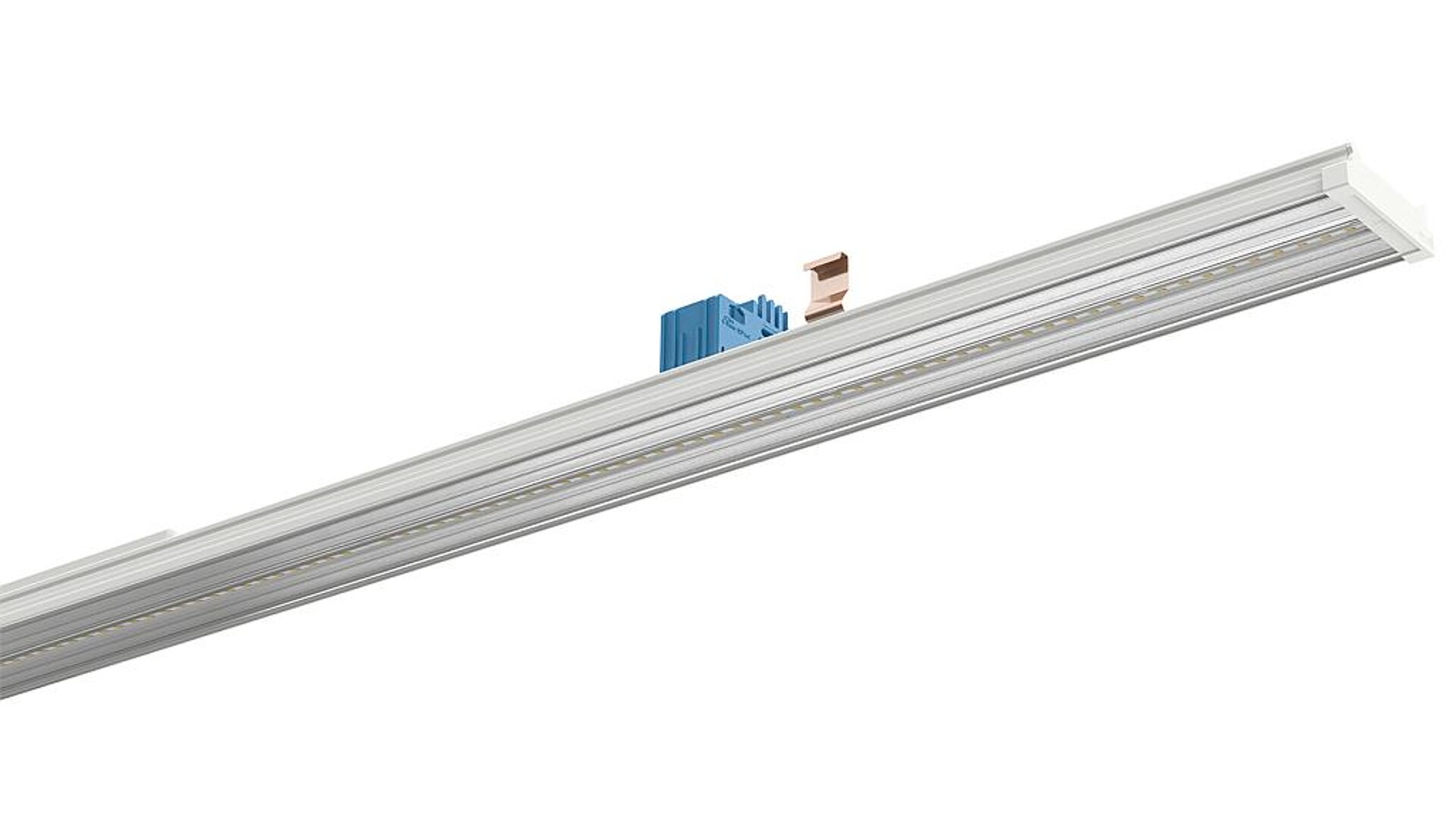BWF Profiles hat die Optik des Lichtbandes mit Plexiglas proTerra M5 von Röhm produziert. (Foto: Ridi)