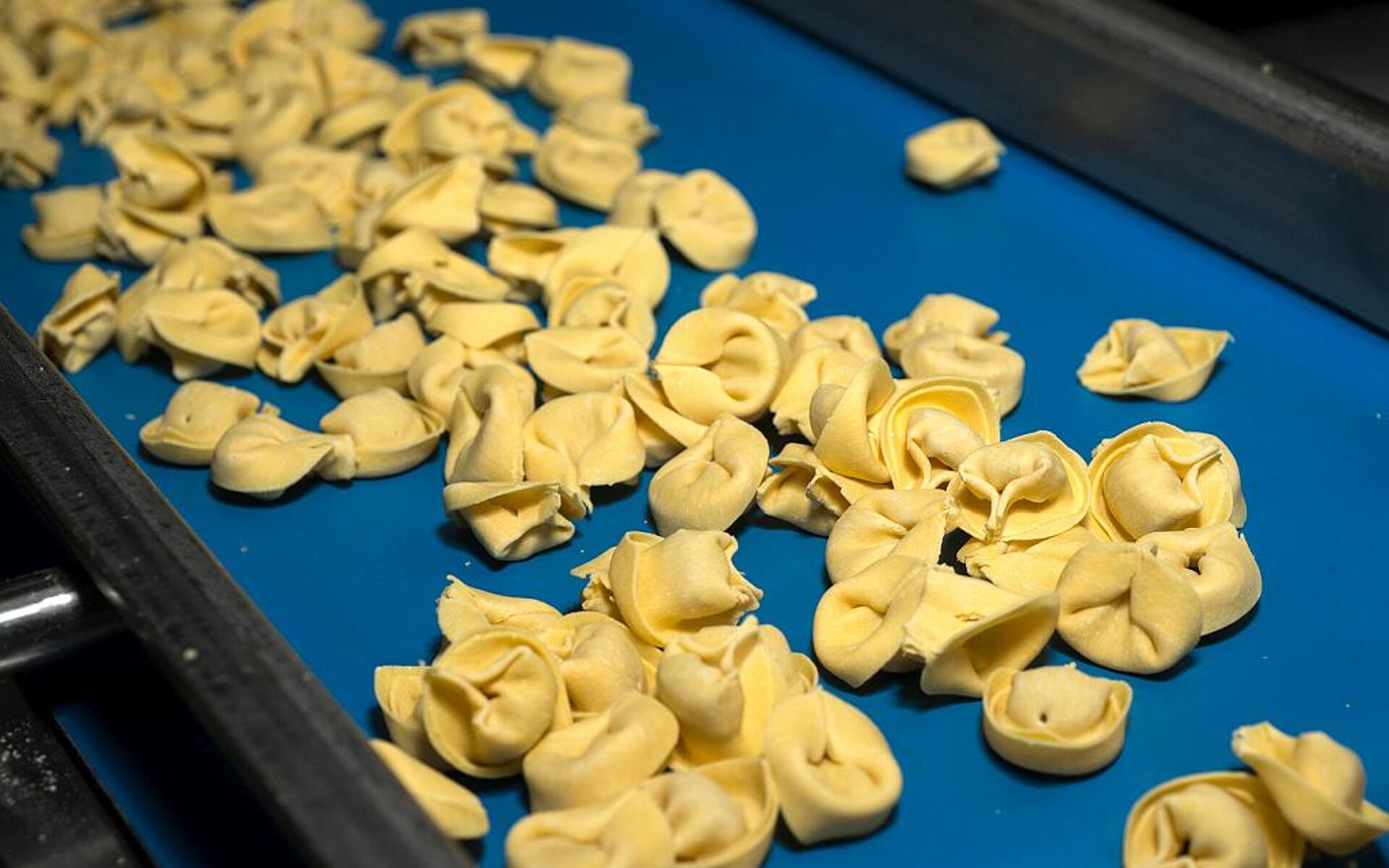 In Italien gelten strenge Regularien für Materialien mit Lebensmittelkontakt. (Foto: AdobeStock_101793739)