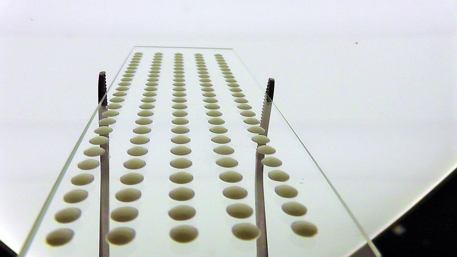 Mit dem berührungslosen Dosiersystem lassen sich geringe Mengen Naturkautschuk dosieren – sei es als Dosierpunkt oder geometrische Form, wie z. B. einem Ring. (Foto: perfecdos)