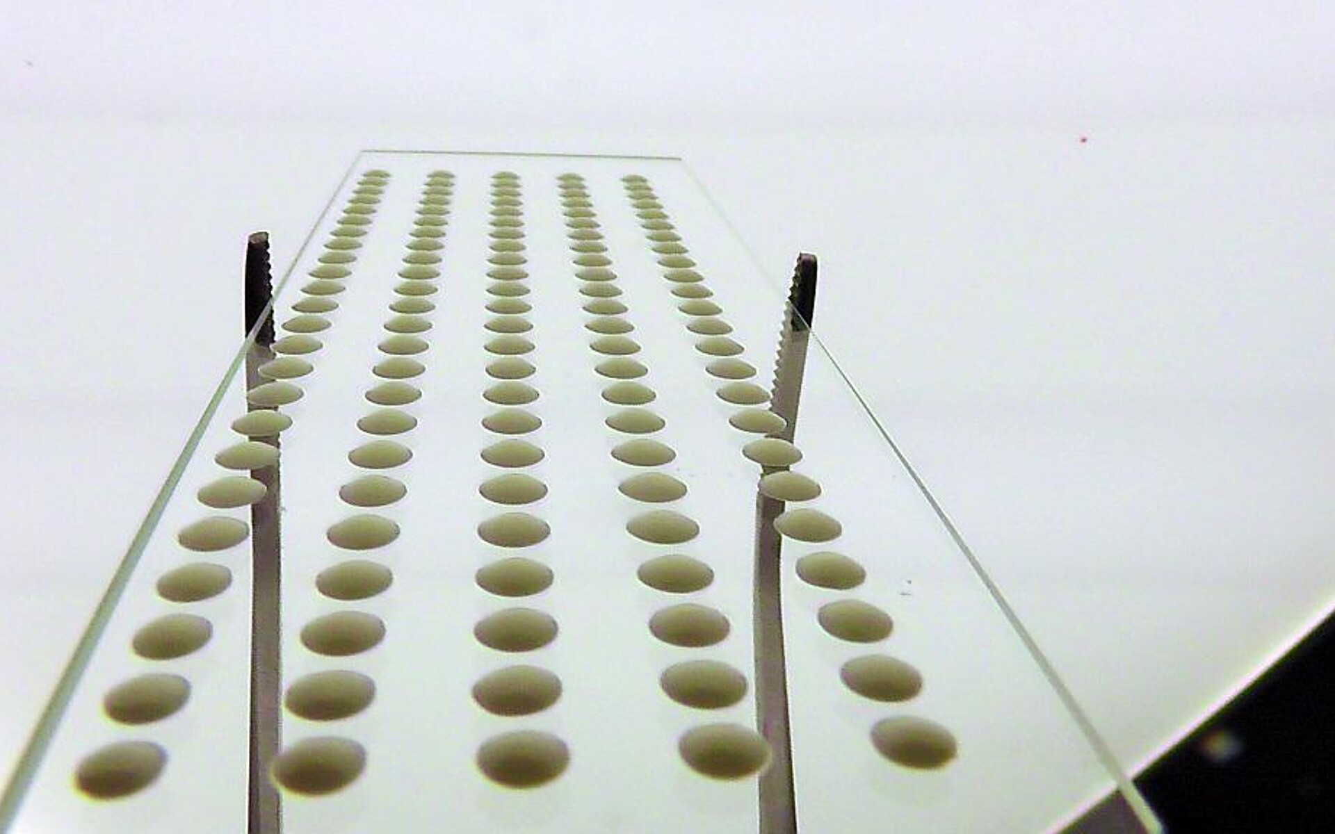 Mit dem berührungslosen Dosiersystem lassen sich geringe Mengen Naturkautschuk dosieren – sei es als Dosierpunkt oder geometrische Form, wie z. B. einem Ring. (Foto: perfecdos)