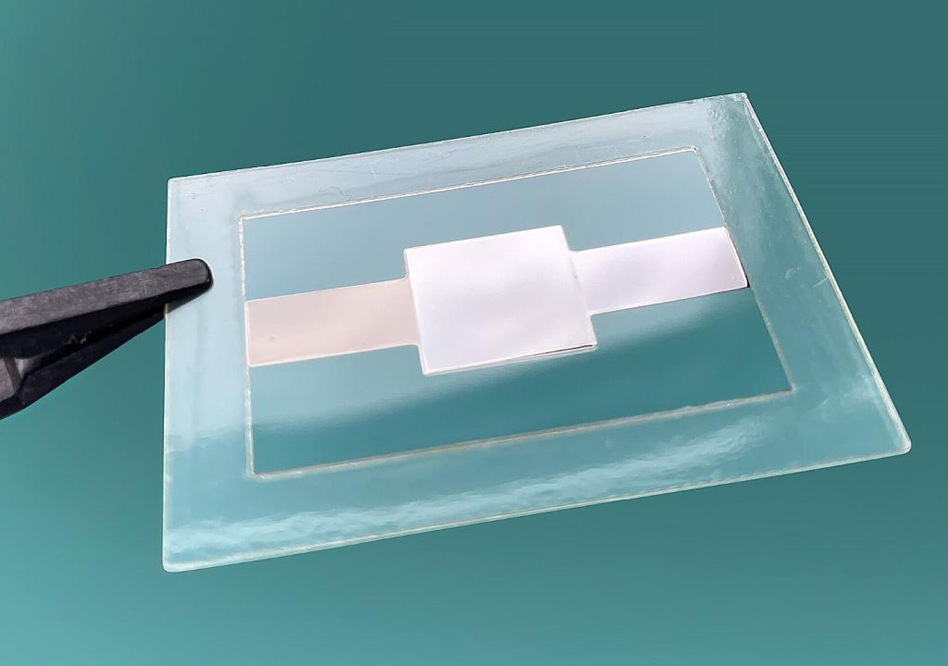 Elektrokalorische Polymerfolie mit geringer Schichtdicke für den Aufbau von Heiz- und Kühlelementen. (Foto.: Fraunhofer IAP)