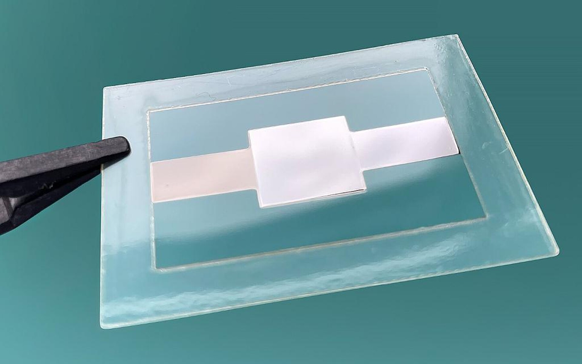 Elektrokalorische Polymerfolie mit geringer Schichtdicke für den Aufbau von Heiz- und Kühlelementen. (Foto.: Fraunhofer IAP)