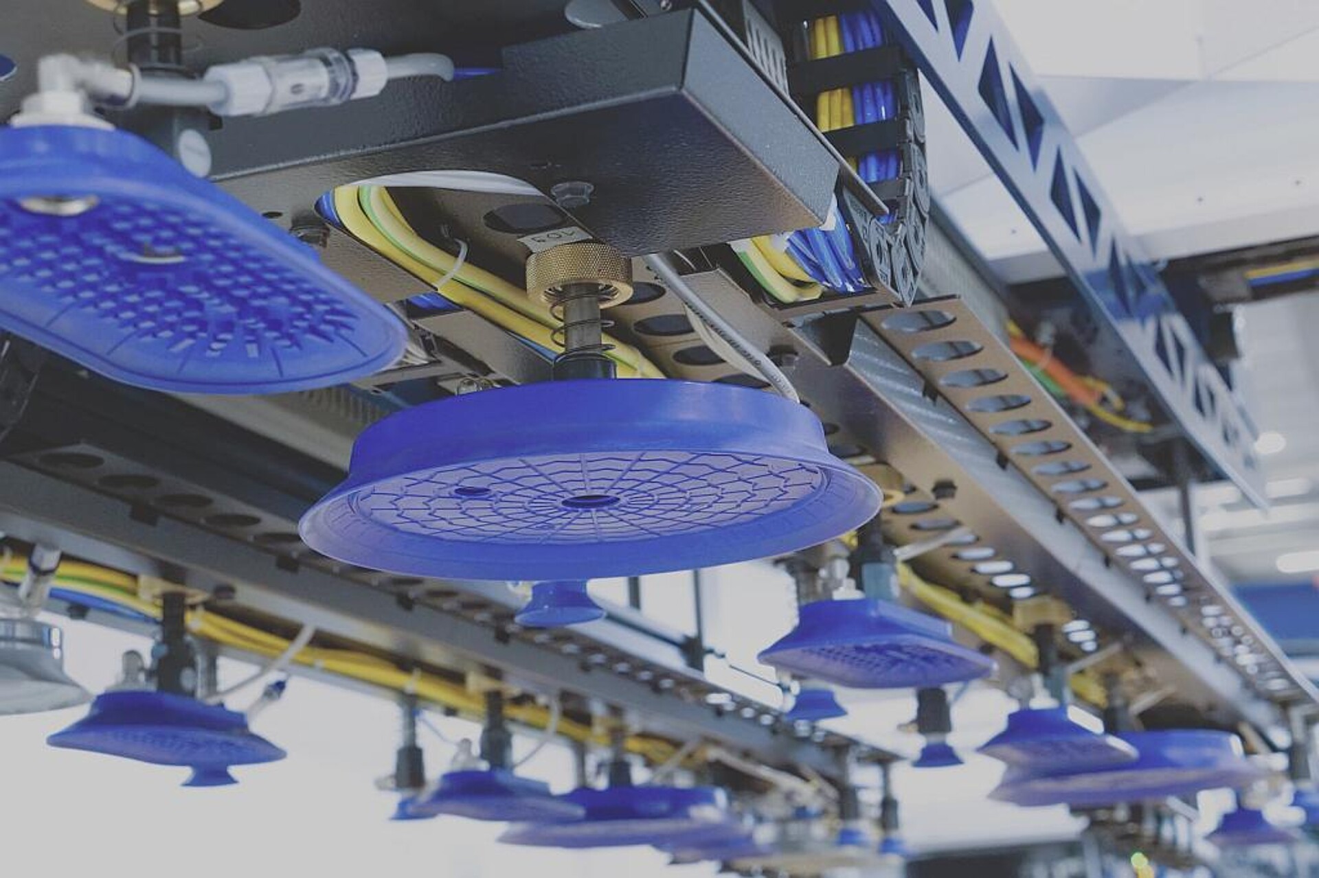 Auf den Vakuumkammerpressen werden die produktberührenden Teile der Elastomer-Sauger in Größen zwischen 20 und 400 mm … (Foto: Schmalz)