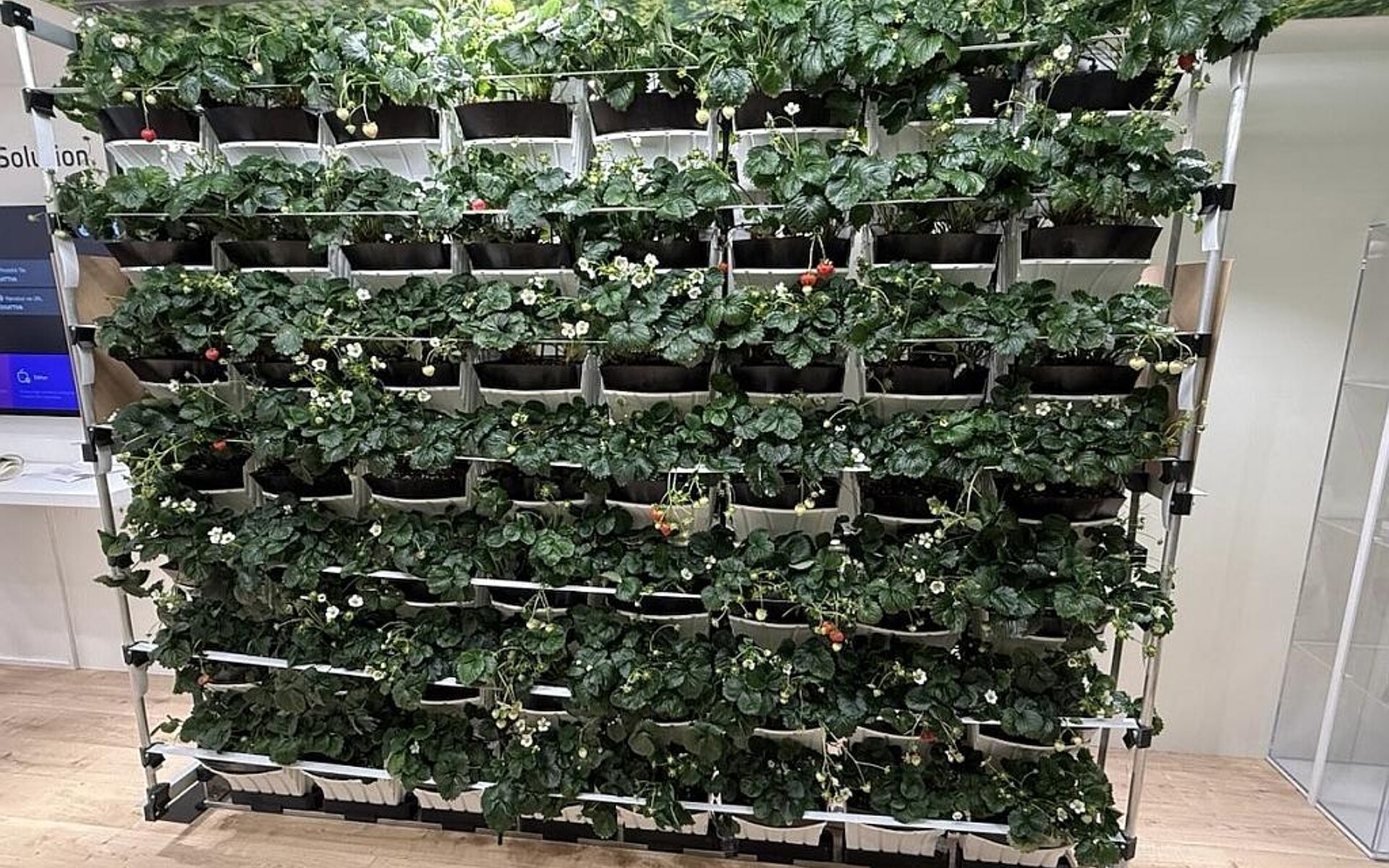 Die Erdbeerwand ist ein stapelbares Pflanzsystem, das sich bis zu sechs Meter hoch sicher und stabil aufbauen lässt. (Foto: SK Industriemodell)