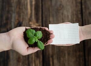 Bio-Fed: Bioabbaubare Feuchtigkeits-Absorptionskissen