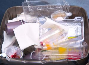 Gneuß: Tray-to-Tray-Recycling in einem Extrusionsschritt