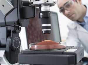 Lanxess: Sichere Einfärbung von Biokunststoffen