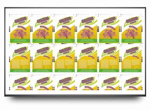 Isra Vision: Livebilder vom aktuellen Druckbild