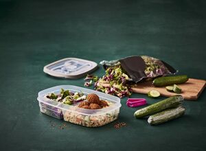 Palsgaard: Polymeradditive auf Pflanzenbasis