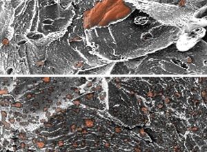AGC Chemicals: Additive für tribologisch modifizierte Compounds