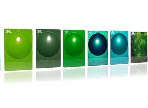 Gabriel-Chemie: Farbtrends ganz in Grün